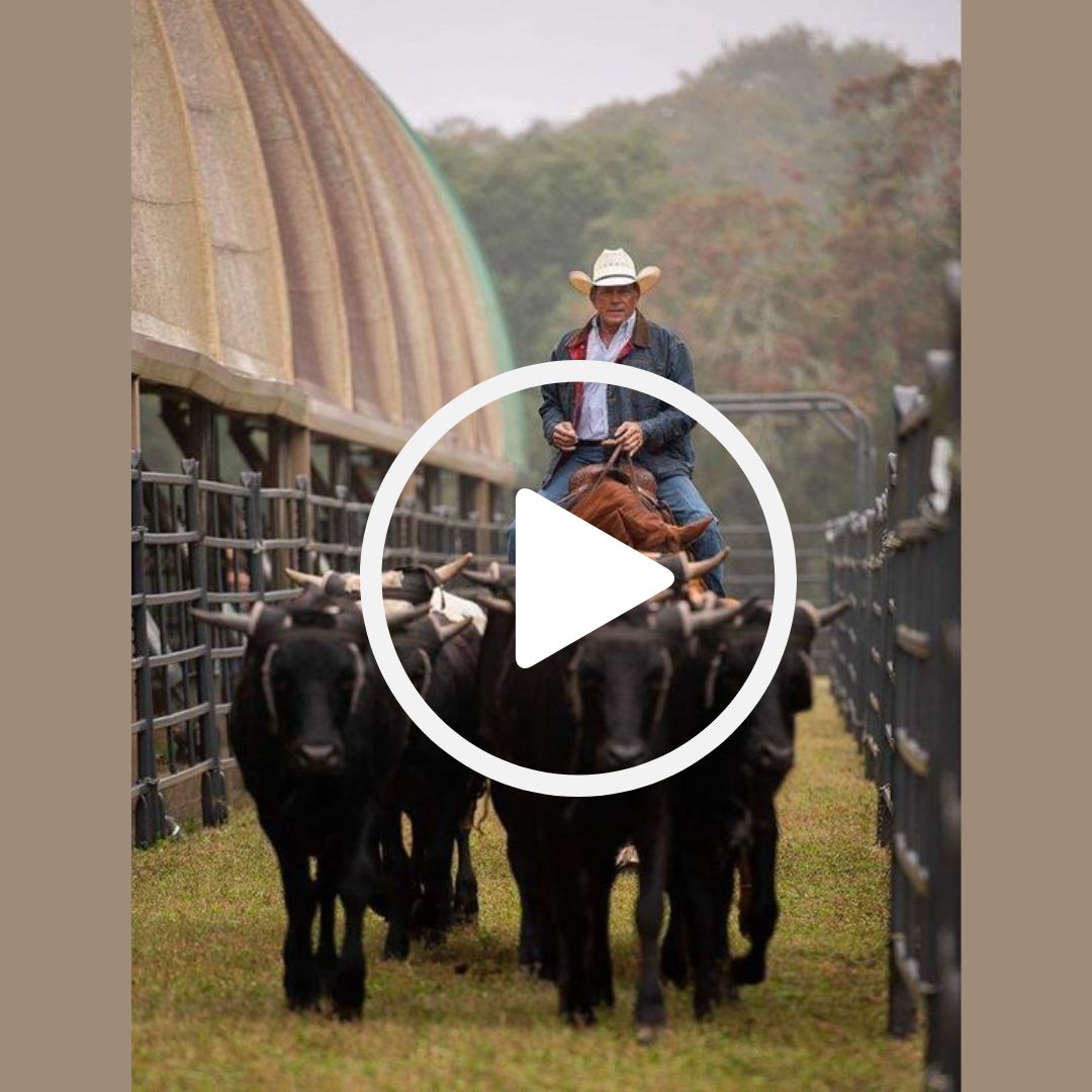 George Strait – Down and Out