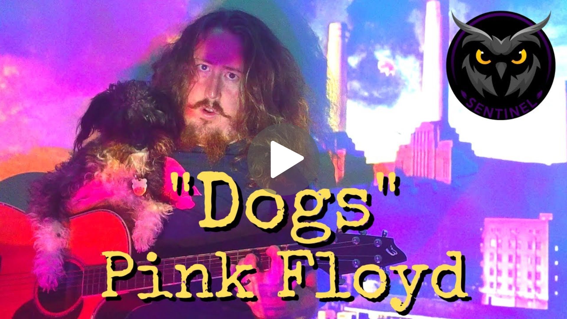 Pink Floyd – Dogs